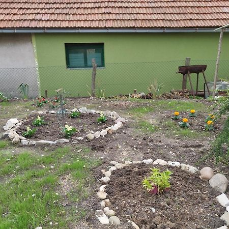 Stancic 019 Apartment Zajecar Exterior photo
