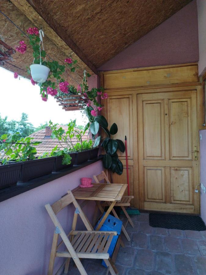 Stancic 019 Apartment Zajecar Exterior photo