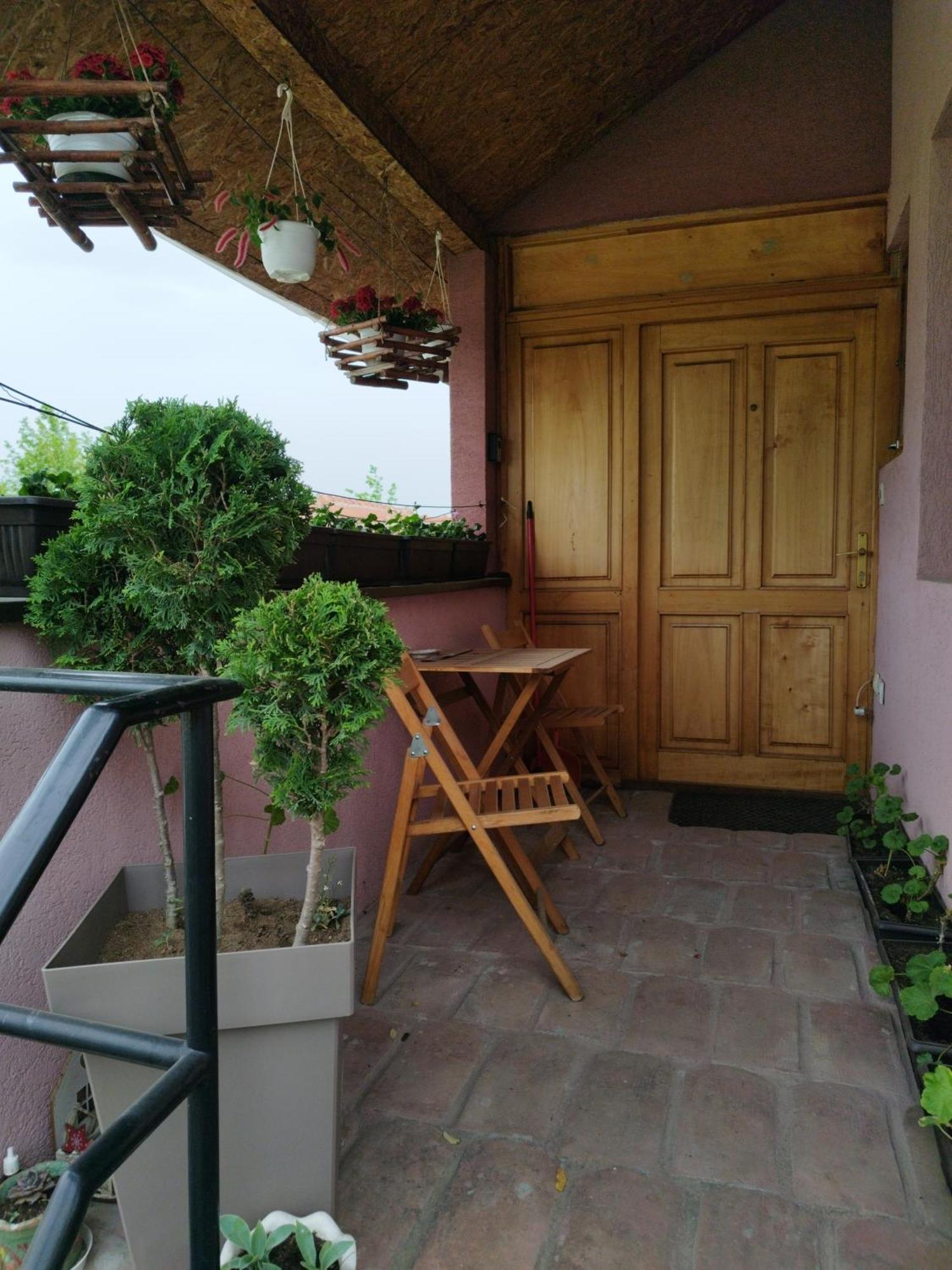 Stancic 019 Apartment Zajecar Exterior photo